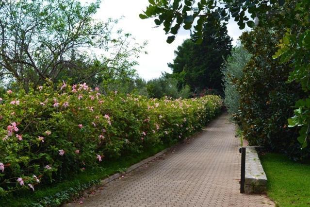 Eurialo Green Suites Belvedere  Zewnętrze zdjęcie
